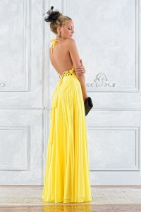 Formal Dress with Bareback